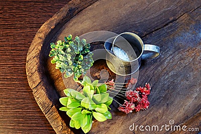 Top View of Flowerpots on a wooden tray Stock Photo