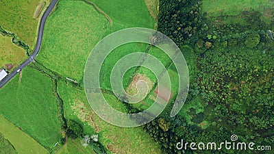 Top view foggy grassland summer day. Aerial woodland hills grass valley nature Stock Photo