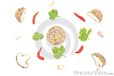 Top view food collection mushrooms with Red chili, garlic, coriander , Green leaf isolated on white background Stock Photo