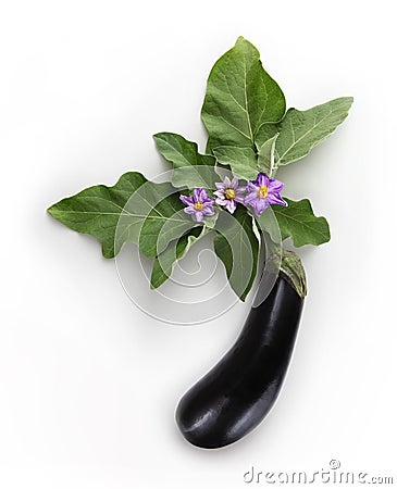 Top view food eggplant with flowers and leaf isolated on white b Stock Photo