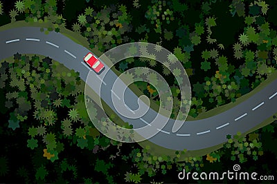 Top view of a forest road with car. Rural highway, beautiful landscape. Holidays travel vector cartoon illustration. Vector Illustration