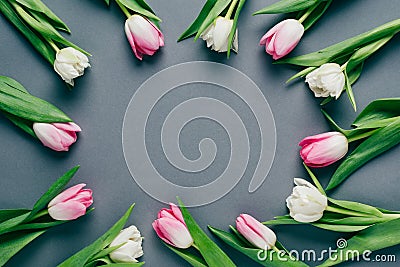 Top view of frame of tulips Stock Photo