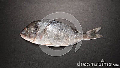 TOP VIEW: Fresh Dorade fish on black table Stock Photo