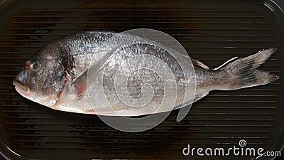 TOP VIEW: Fresh Dorade fish on a pan Stock Photo