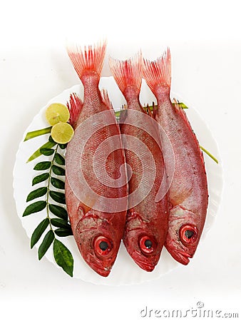 Top view of Fresh Finned Bulls eye Fish Priacanthus Hamrur/ Moontail Bullseye Fish,Decorated with Lemon slice and Curry leaves , Stock Photo