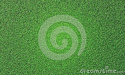 Top view Fresh green lawn For football and soccer fields or golf courses. For use to make background or wallpaper garden. Fresh Stock Photo