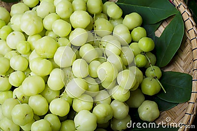 Top view fresh Phyllanthus acidus or star gooseberry on bamboo b Stock Photo