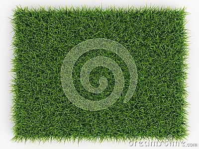 Top view of Fresh Spring Green Grass - natural background Stock Photo