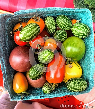A top view of freshly picked cucumber tomatoes and tomatoes in a basket Stock Photo