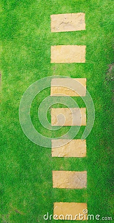 Top view of garden pathway Stock Photo