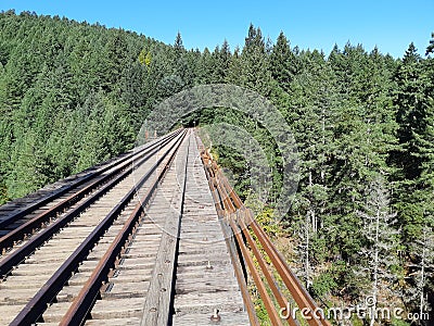 Inactive rail line in the forest Stock Photo