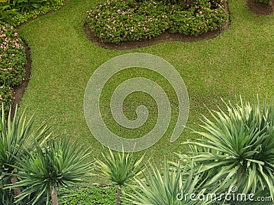 Top view of green grass field plants and trees in the small garden Stock Photo