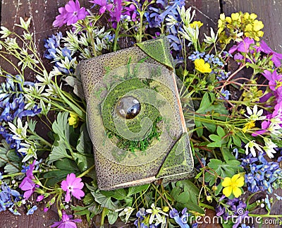 Top view of green witch book on wildflowers Stock Photo