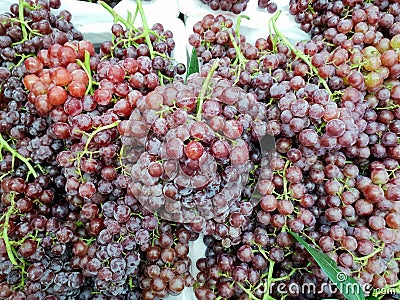 Top view of group fresh ripe red grape isolated. Stock Photo