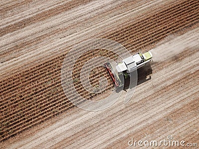 Top view of harvester harvesting genetically modified soya bean Stock Photo