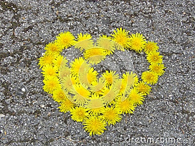 Top view. Heart shaped dandelion flowers bouquet on the road. Taraxacum. Stock Photo