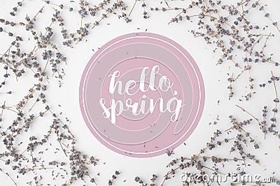 top view of HELLO SPRING lettering with round frame of lavender flowers Stock Photo