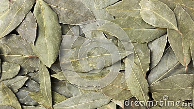 Top view herbs arrangement Photo Stock Photo