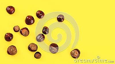 Top view, horse chestnuts Aesculus hippocastanum spilled on yellow board, space for text on the right. Autumn background Stock Photo