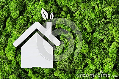 Eco green house concept Stock Photo