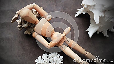 Top View Human Wooden Sleeping With Seashell, Conch Shell on Brown Background, Stock Photo