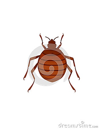 Top view illustration on bed bug cartoon bloodsucking insect design vector illustration isolated on white background Vector Illustration