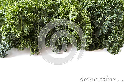 Top view. Kale leaves on a white background. Background of kale leaves. Fresh kale leaves background. Stock Photo