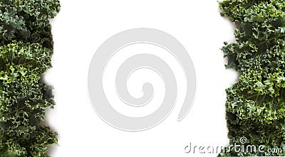 Top view. Kale leaves on a white background. Background of kale leaves. Fresh kale leaves at border of image with copy space for Stock Photo