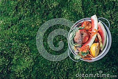 Top view. Kitchen food waste collected in recycling compost pot. Peeled vegetables in compost bin on green grass, moss Stock Photo