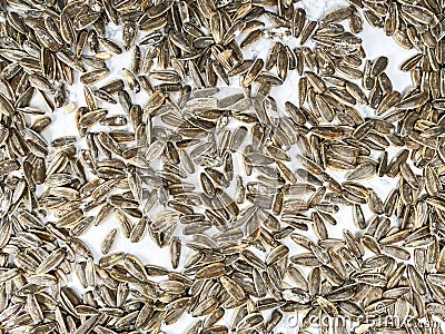 Top view of large salted roasted sunflower seeds Stock Photo