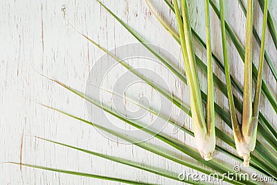 Top view lemon grass on wood background Stock Photo