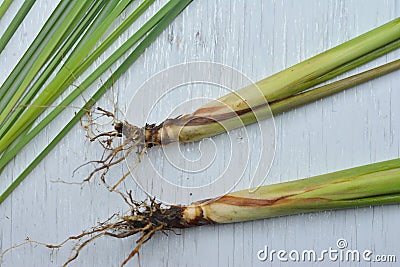 Top view Lemon Grass on wood background Stock Photo