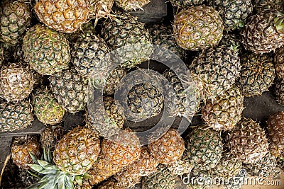 Top view of locally grown miniature pineapples for sale at a sidewalk stand in Tagaytay, Cavite, Philippines Stock Photo