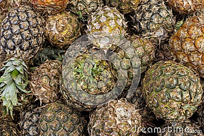 Top view of locally harvested miniature pineapples for sale at a sidewalk stand in Tagaytay, Cavite, Philippines Stock Photo
