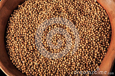 top view macro dried organic coriander seeds in clay bowl Stock Photo