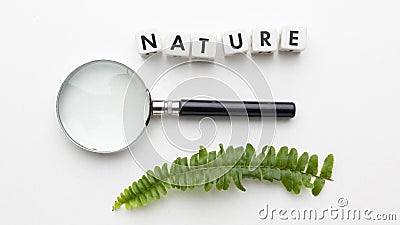 top view magnifying glass plant. High quality photo Stock Photo