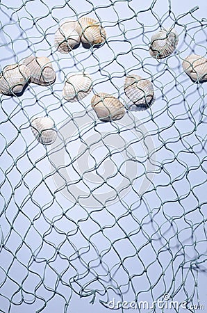 Vertical image of fishing net and collection of seashells on the bright blue background Stock Photo