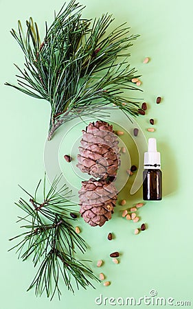 concept of natural cosmetics, pine cones with nuts and a bottle of oil on a green background Stock Photo