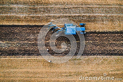 Top view of old blue belarus tractor ploughing fields. Stock Photo