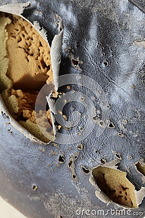 Top view of old motorcycle seat surface, torn leather seats, visible sponge image for vintage background. Stock Photo