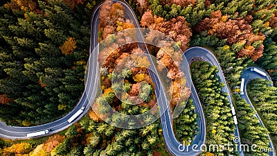 Top view of one mountain road in beautiful autumn forest..Details of asphalt roads and modern infrastructure Stock Photo