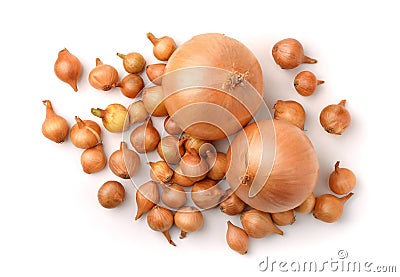 Top view of onion sets Stock Photo