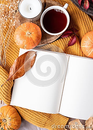 Top view opened blank book for mockup design with pumpkins and tea Stock Photo