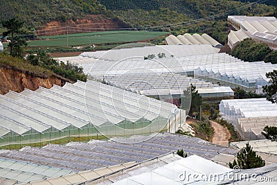 Top view over the glass roof of a greenhouse creating a surreal manmade landscape. Stock Photo