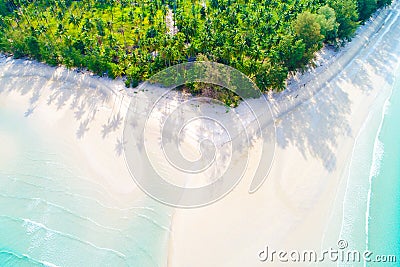 Top view paradise white sand turquoise beach with coconut palm t Stock Photo