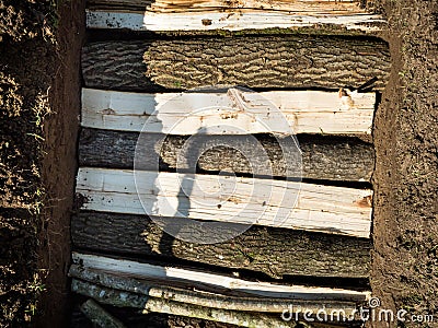 Top view of a Permaculture trench with half long logs of wood Stock Photo