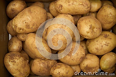 Top view of a pile of potatoes. Stock Photo