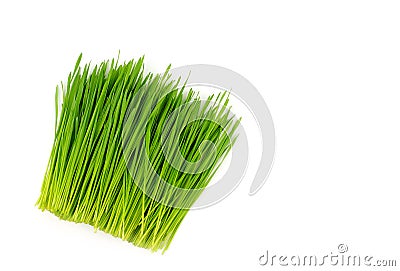 Top view of pile wheat grass Stock Photo