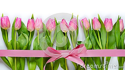 Top view of pink tulips arranged in line, wrapped with pink ribbon over white background. Stock Photo