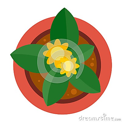 Top view plant pot icon, flat style Vector Illustration